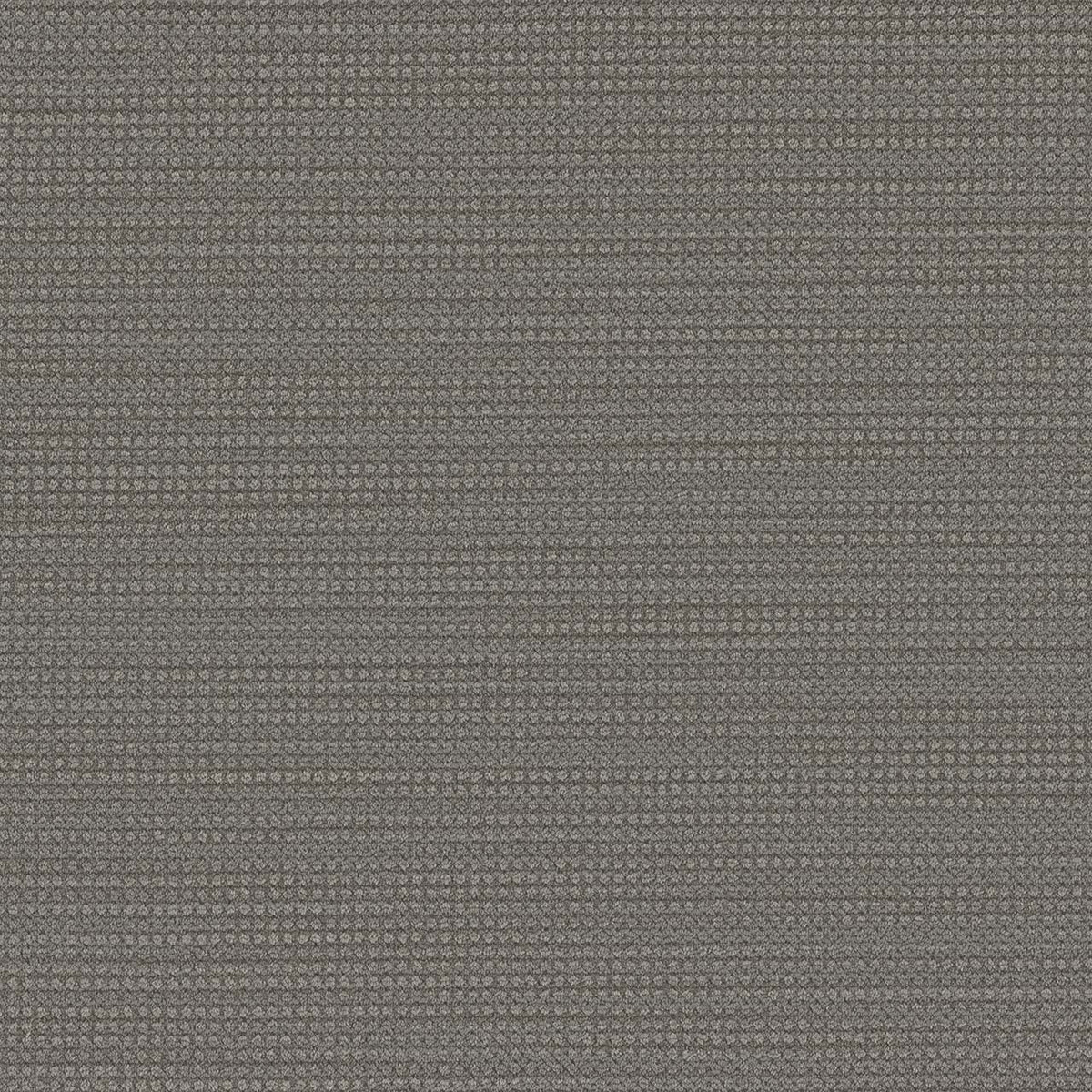 MONTREAL - Ashcroft - Swatch