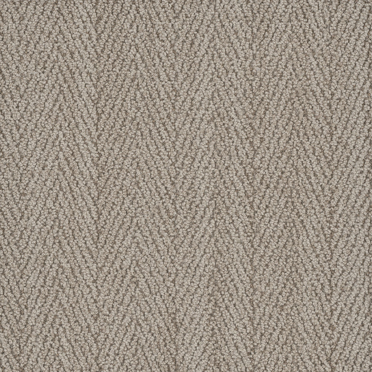 SAN LUCAS - Arch Of Cabo - Swatch