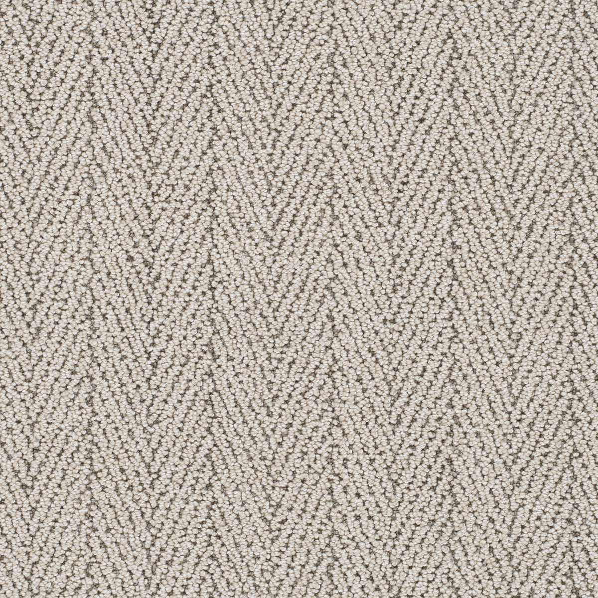 SAN LUCAS II - Bisbee - Swatch
