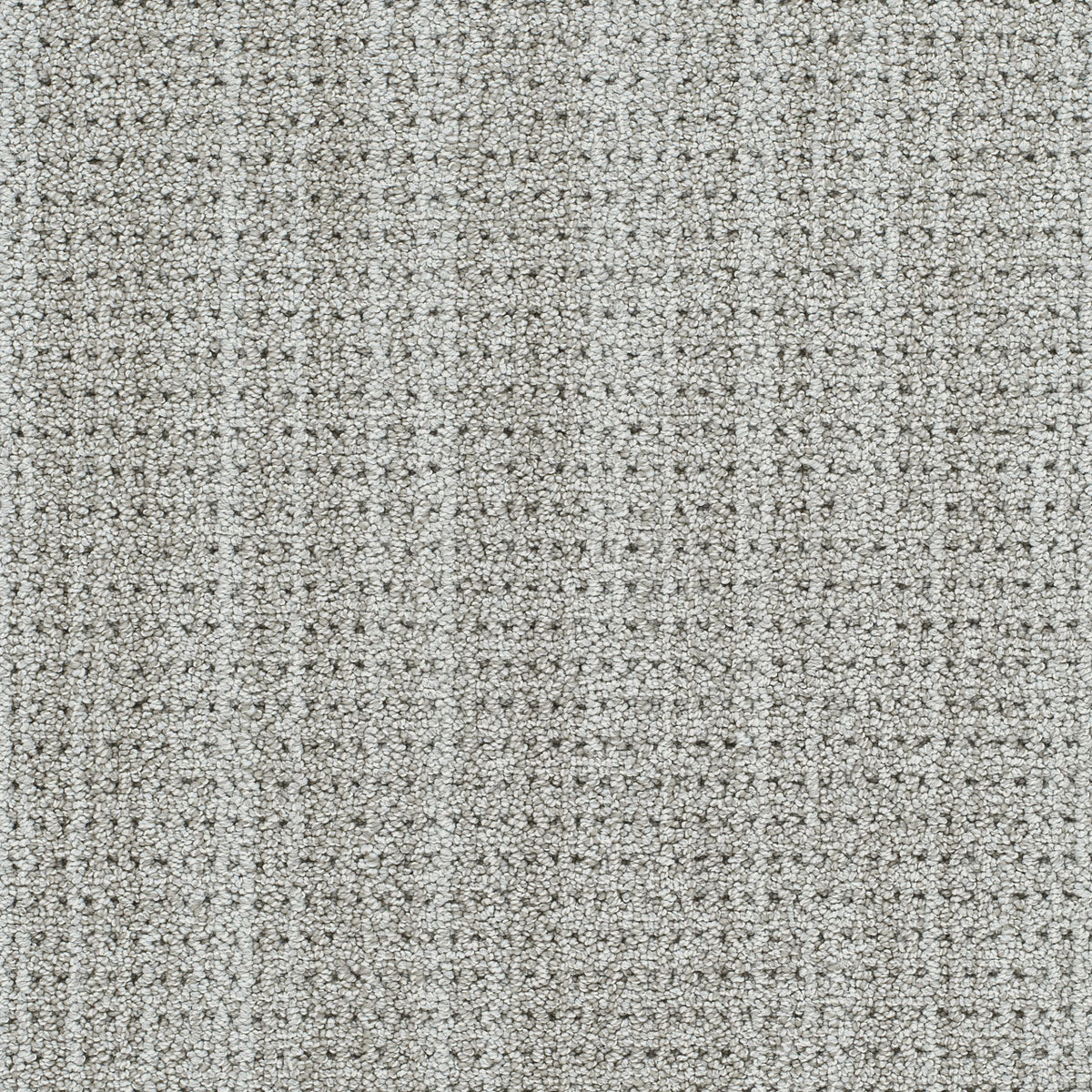 CHELSEA II - Ash Meadow - Swatch