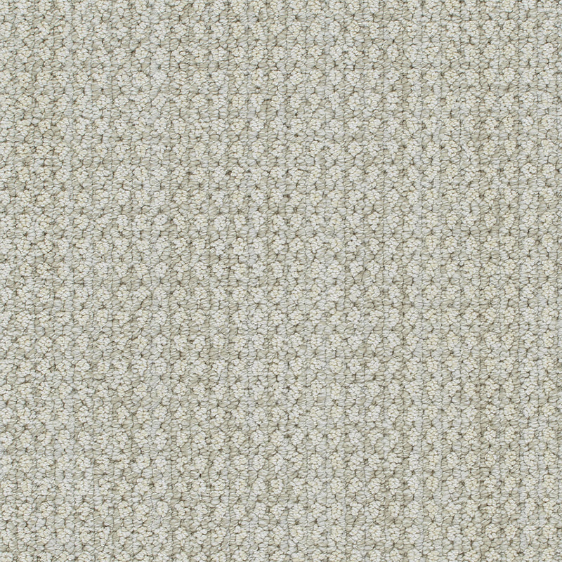 BRUNSWICK - Alpaca - Swatch