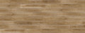 Silver Elm