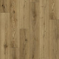 Chestnut