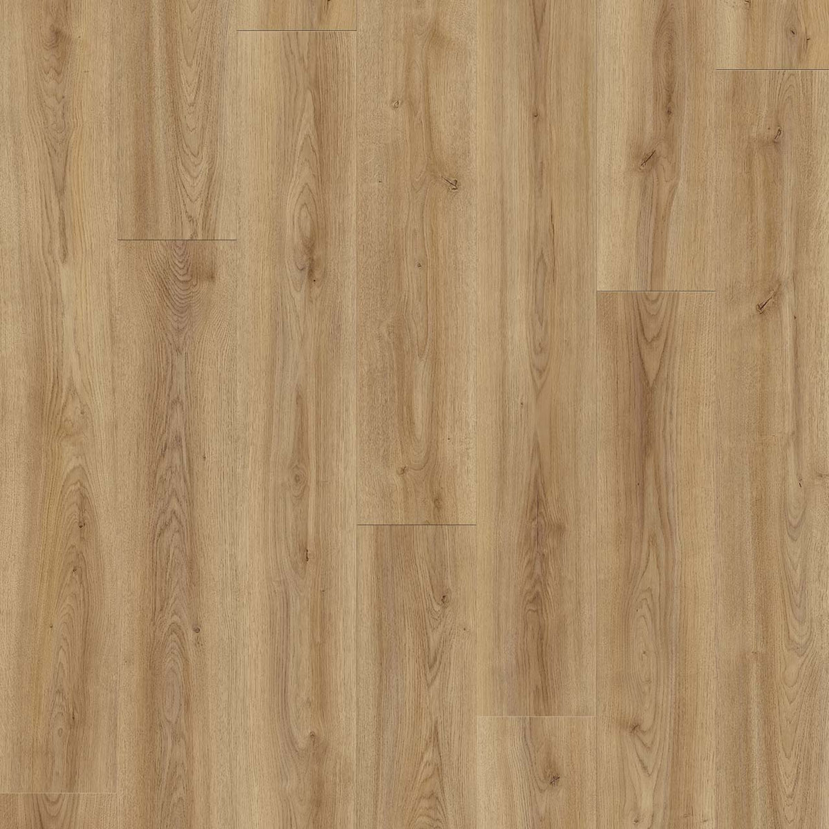 WOOD TECH - Birch Mountain - Swatch