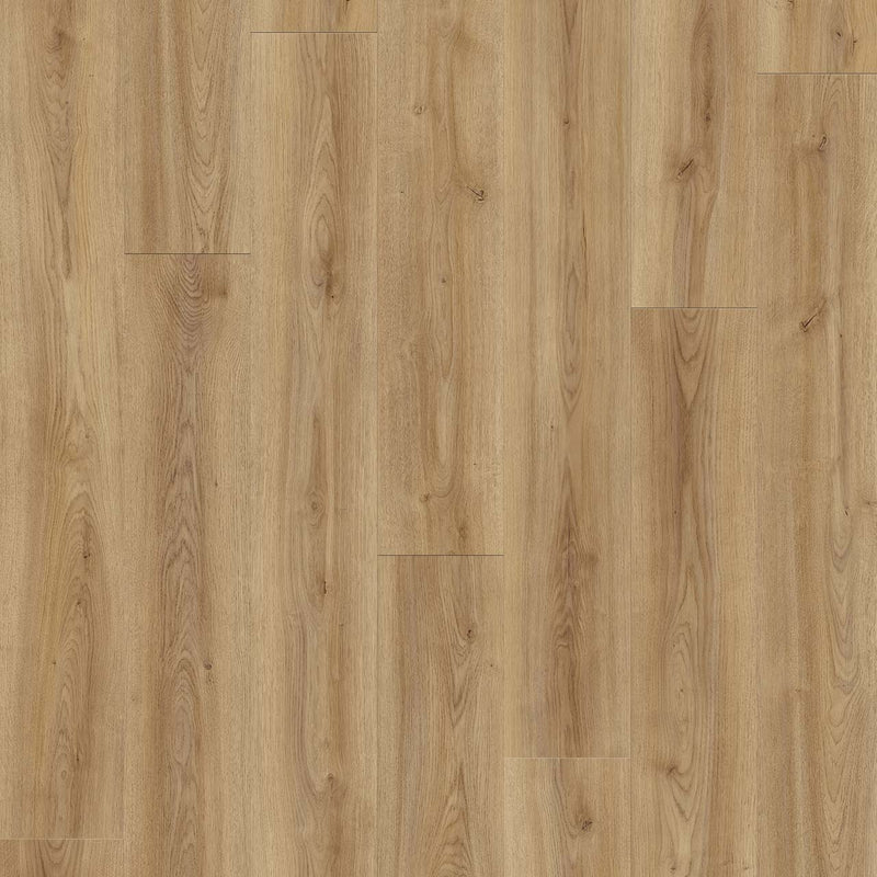 WOOD TECH - Birch Mountain - Swatch