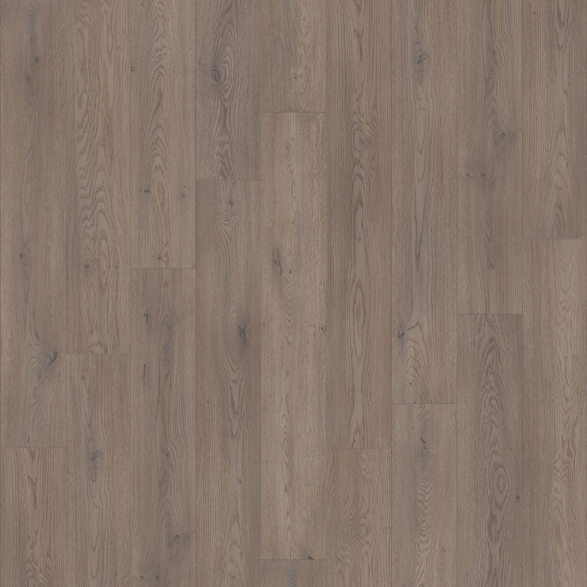 TRANSFORM - Acoustic - Swatch