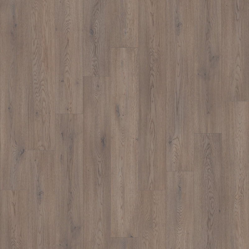 TRANSFORM - Acoustic - Swatch