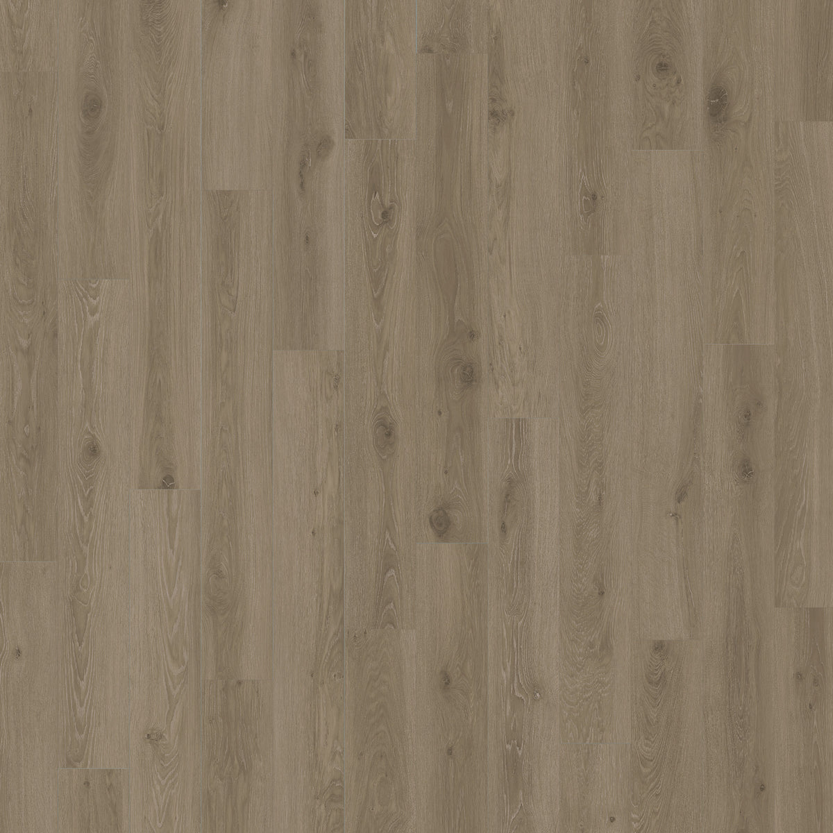 NURTURE - Arbor - Swatch