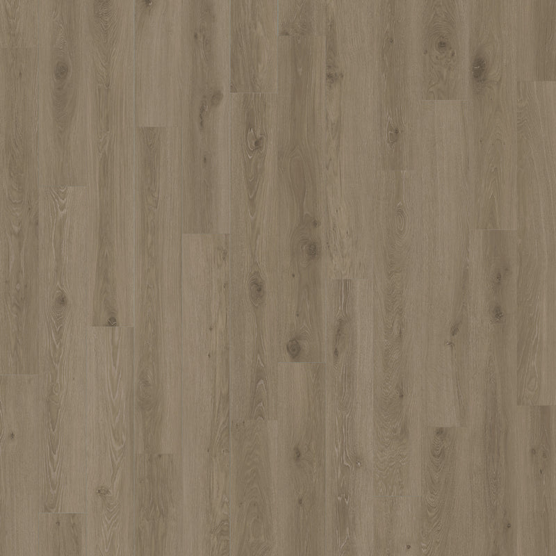 NURTURE - Arbor - Swatch