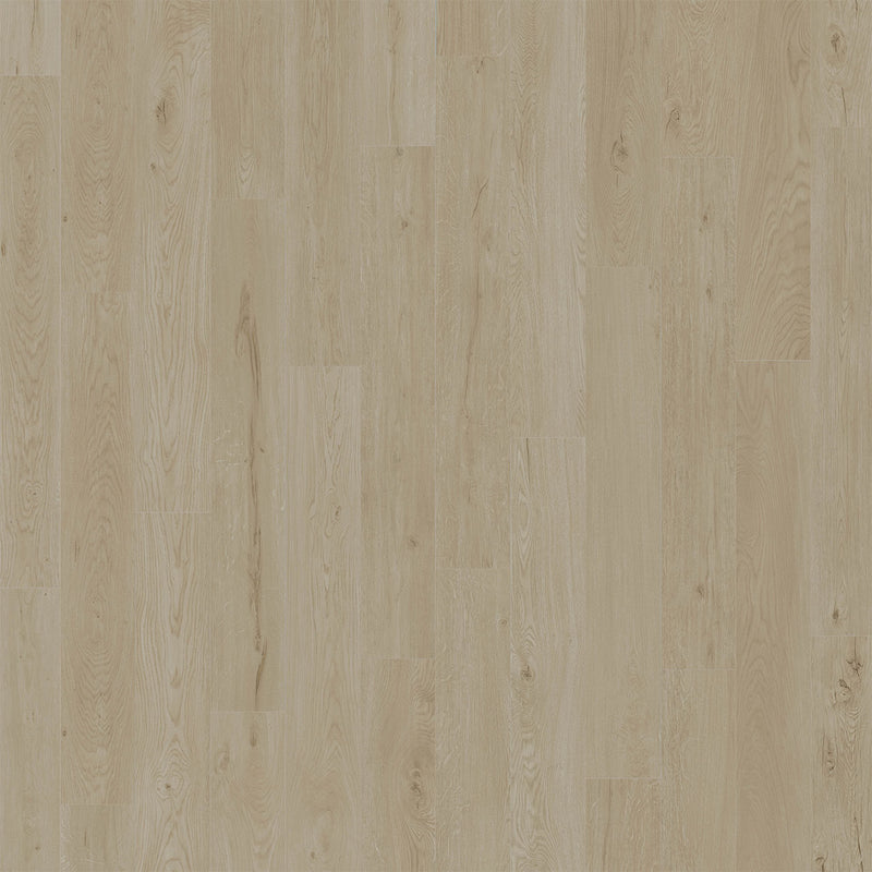 AMERICAN STANDARD - Alys - Swatch