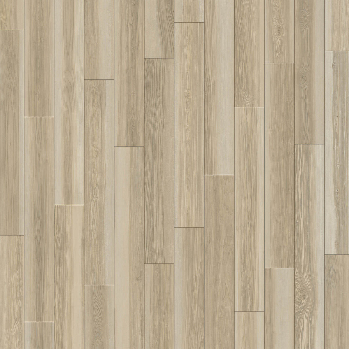 DIVINE - Aria - Swatch