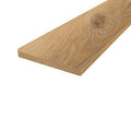 Sandbar Oak