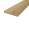 Schooner Oak
