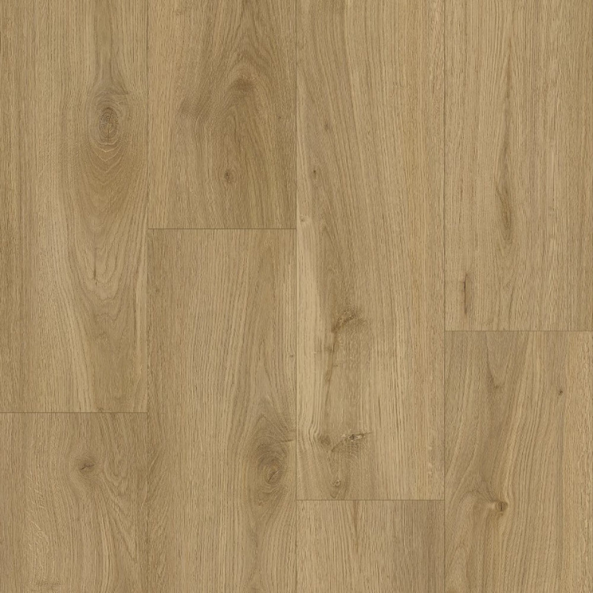 Pacific Grove - Valley Oak flooring sample