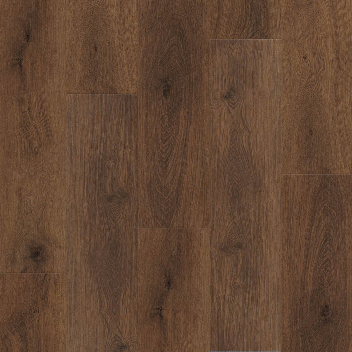 RESTORE - Alexandria - Swatch