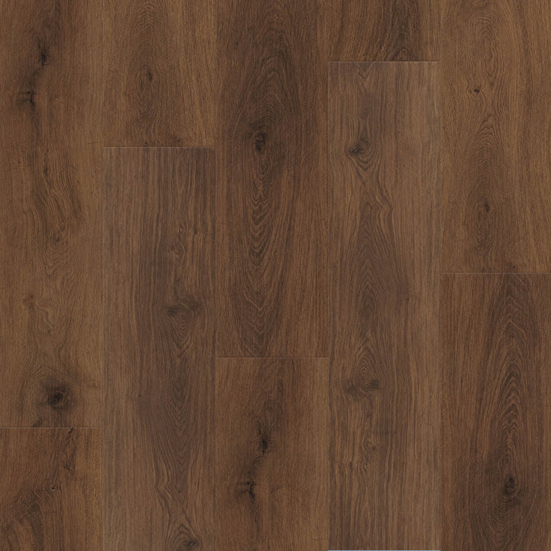 RESTORE - Alexandria - Swatch