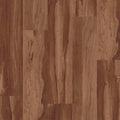 Sugar Maple