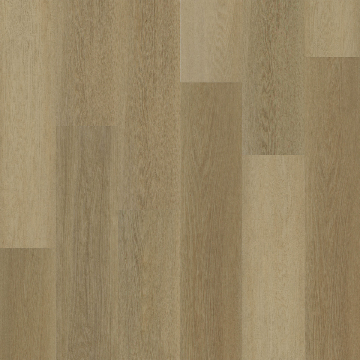 PARADISE HEIGHTS - Almond - Swatch