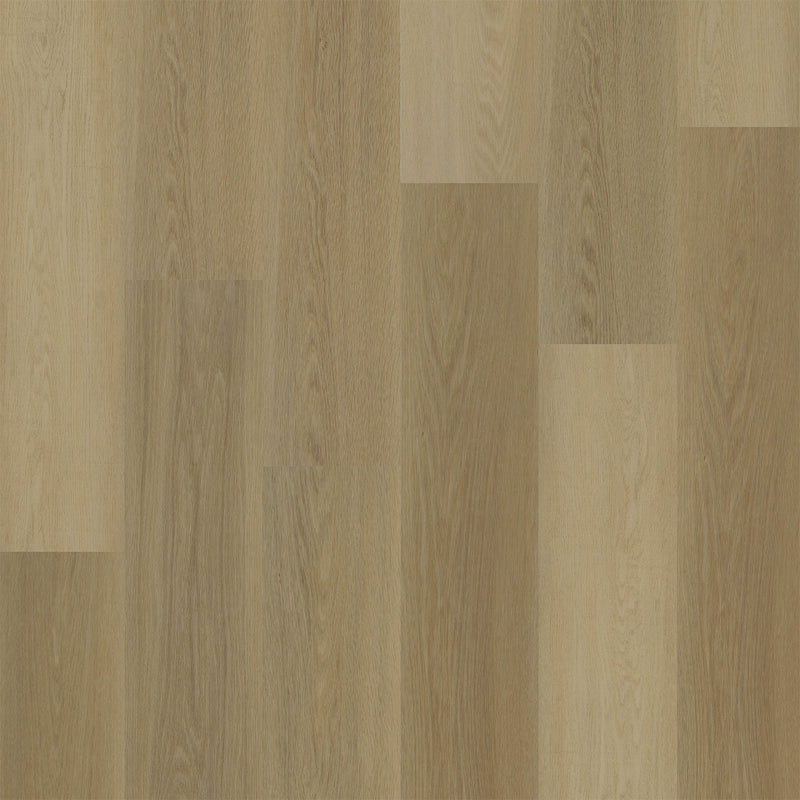 PARADISE HEIGHTS - Almond - Swatch