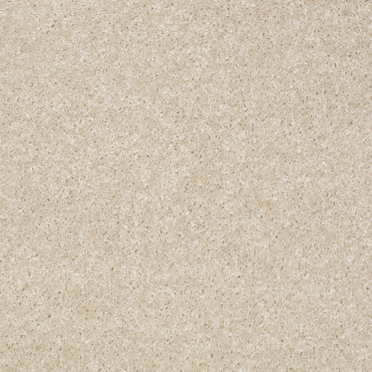 Jet Set - Stucco