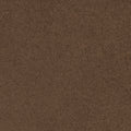Dark Spice