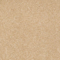 Cornfield
