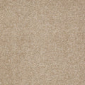 Sahara