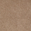 Mojave
