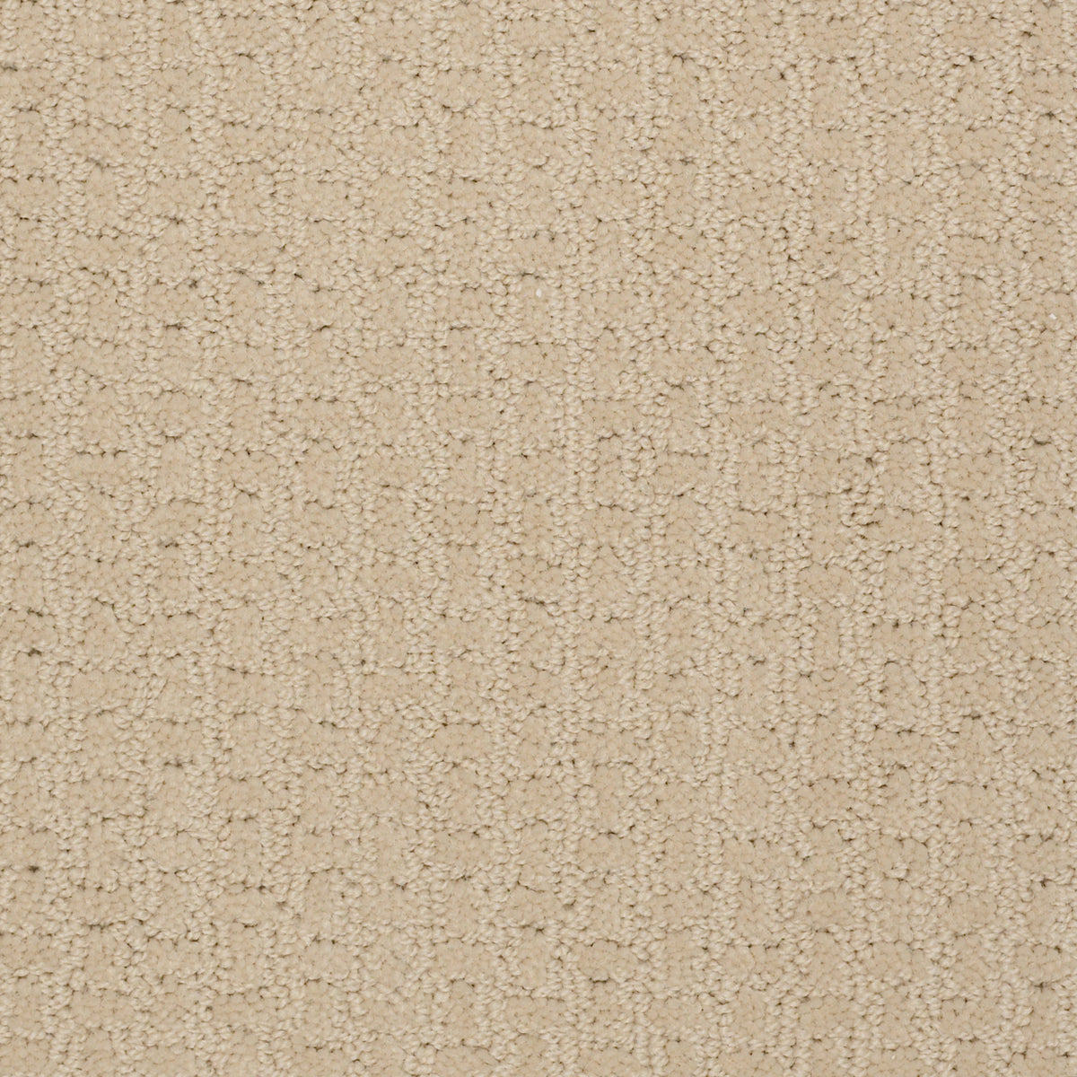 Activate - Linen