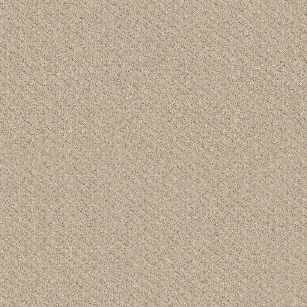 Pace Setter - Canvas