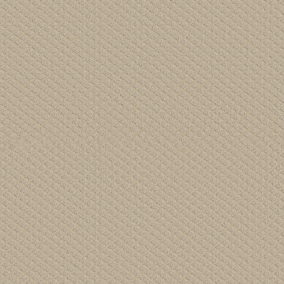 Pace Setter - Canvas