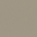 Studio Taupe