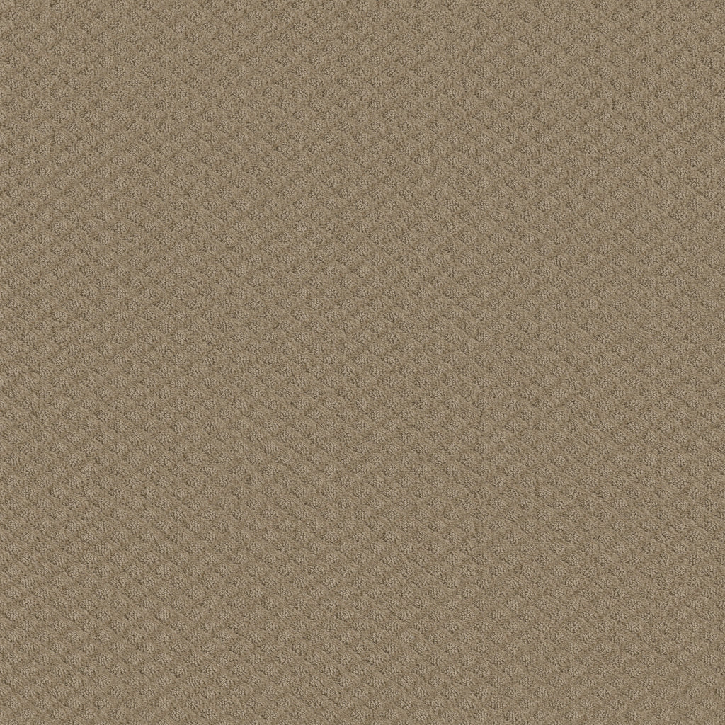 Pace Setter - Mushroom