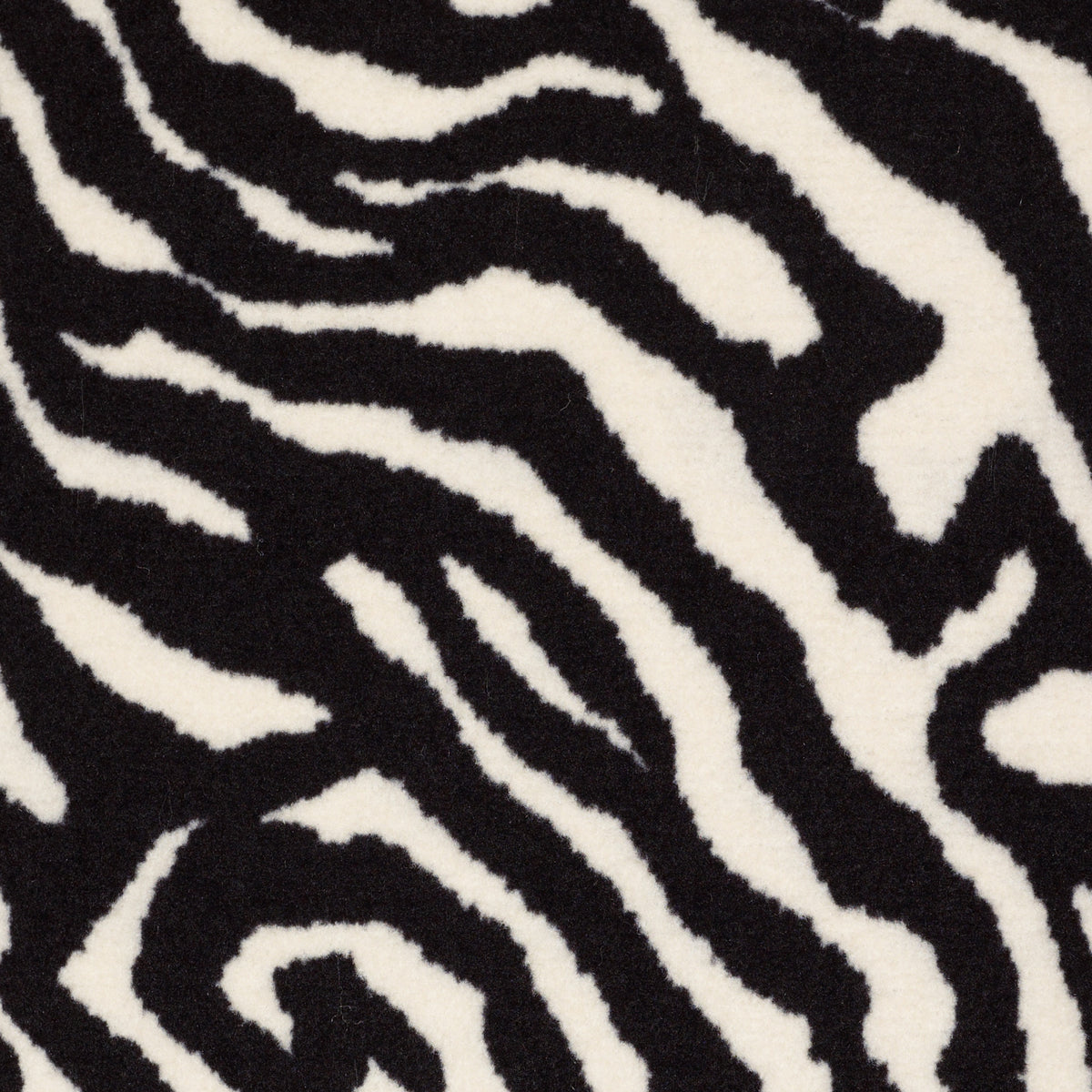 Zebra - Migrant Beauty