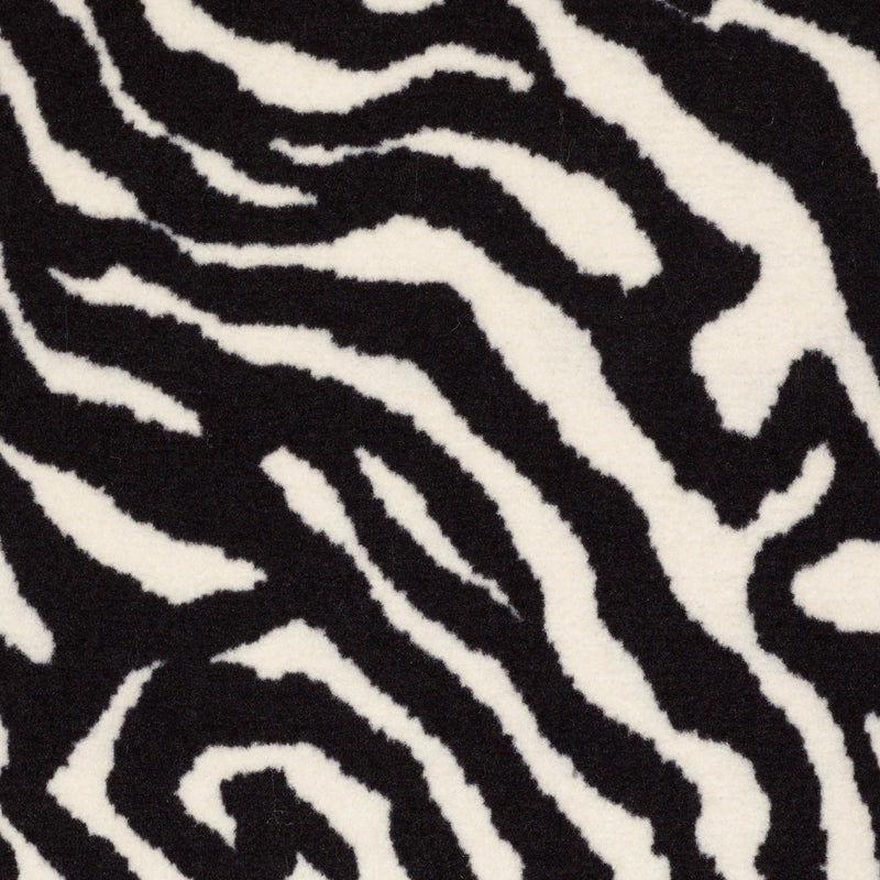 Zebra - Migrant Beauty