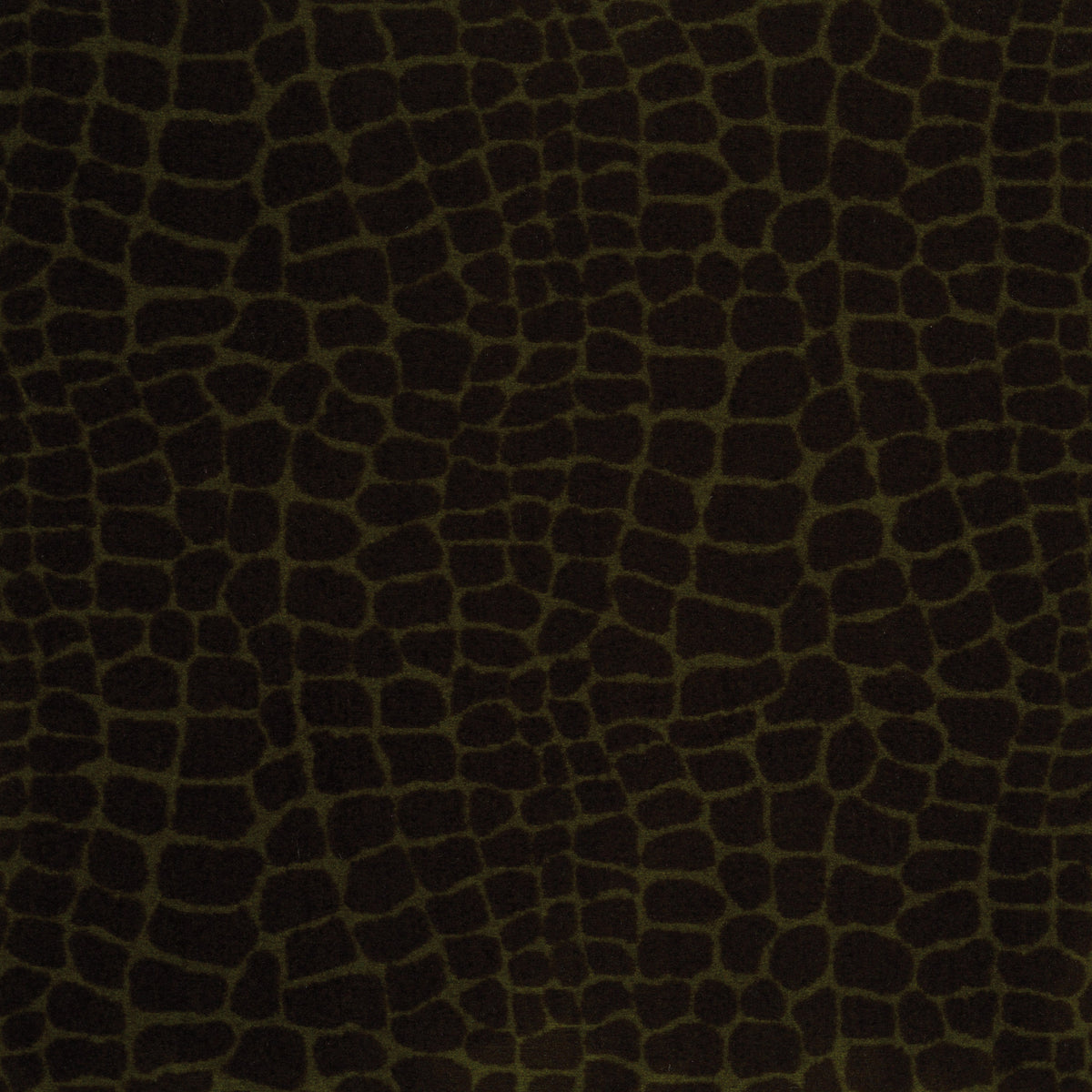 River Croc - Hidden Moss