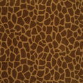 Giraffe - Tip Top