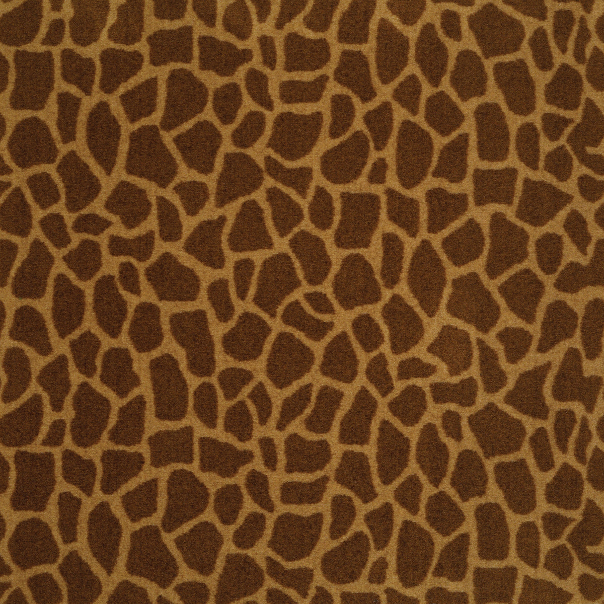 Giraffe - Tip Top