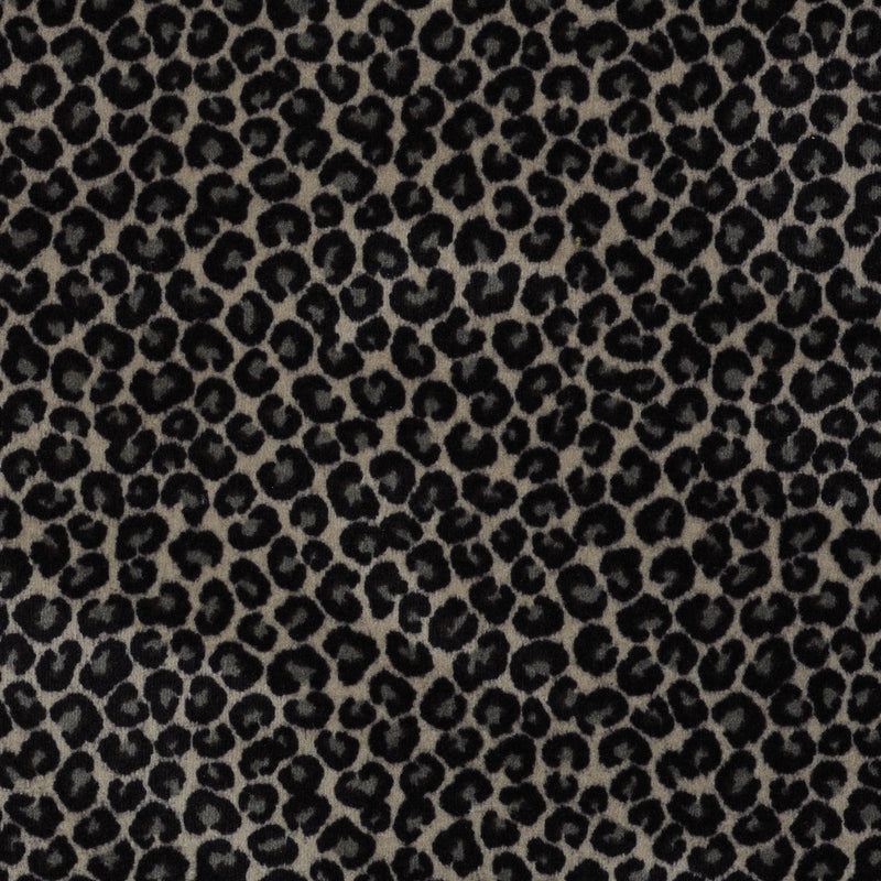 Cheetah - Go Getter