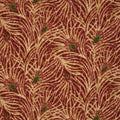 Pavo