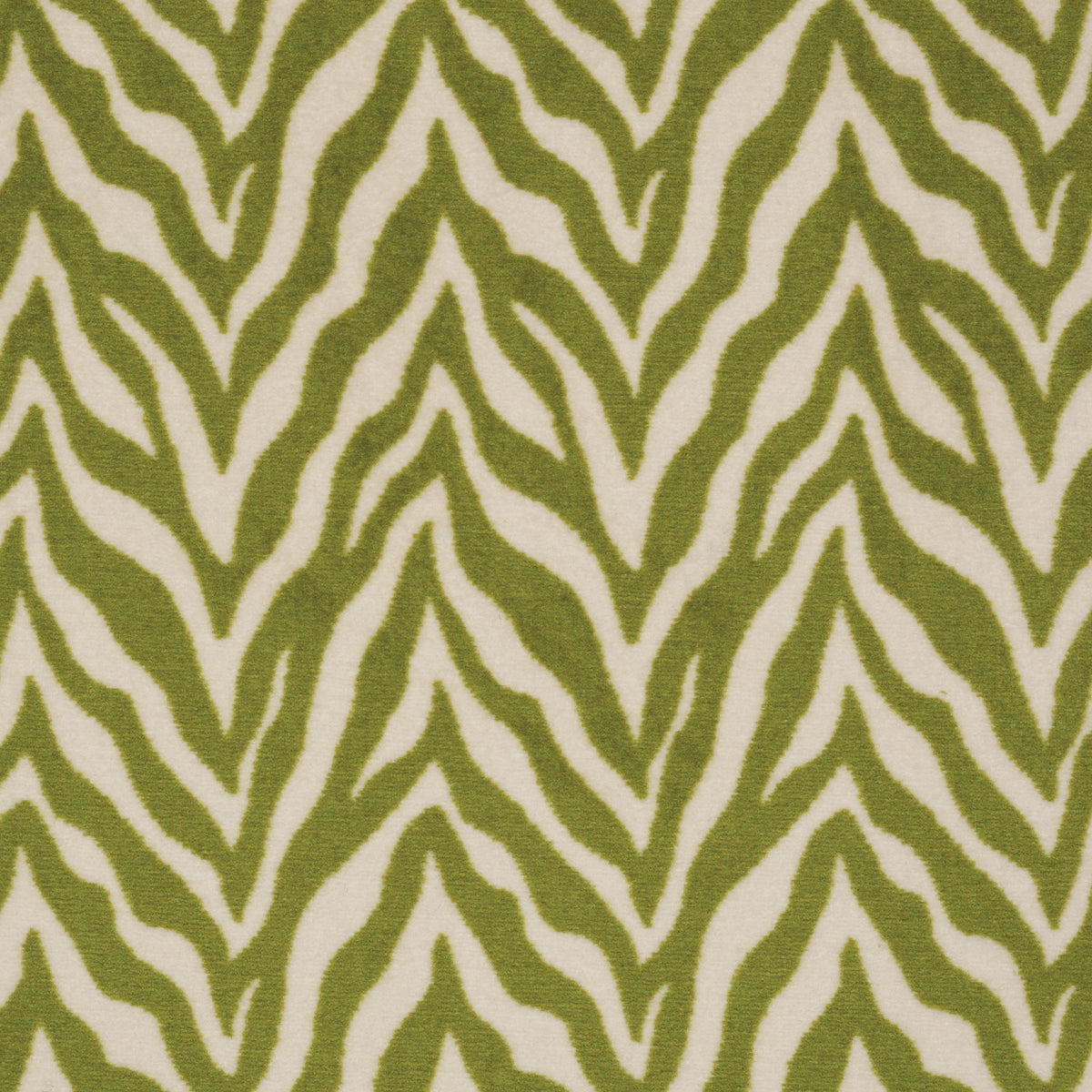 Zesty Zebra - Grassland Nomad
