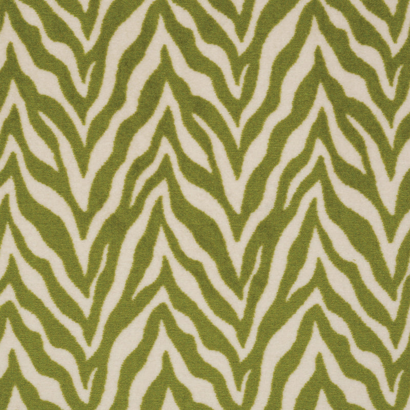 Zesty Zebra - Grassland Nomad