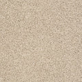 Brushed Ivory