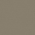 Taupe Tone