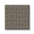 Simply Taupe