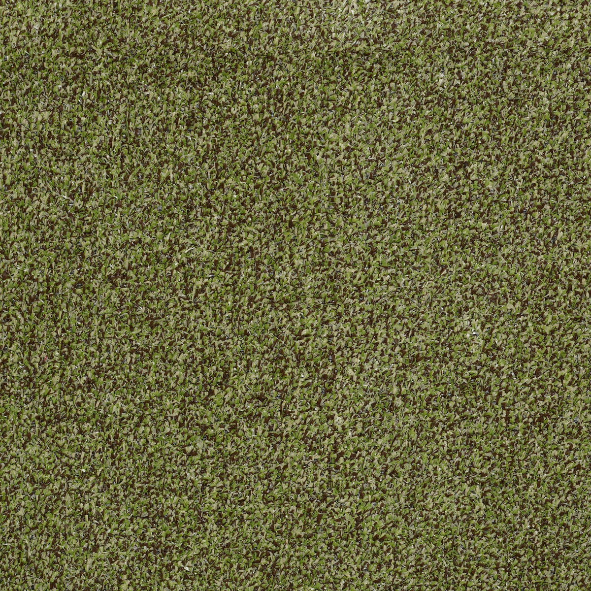 ARBOR VIEW (T) - Mossy Bark