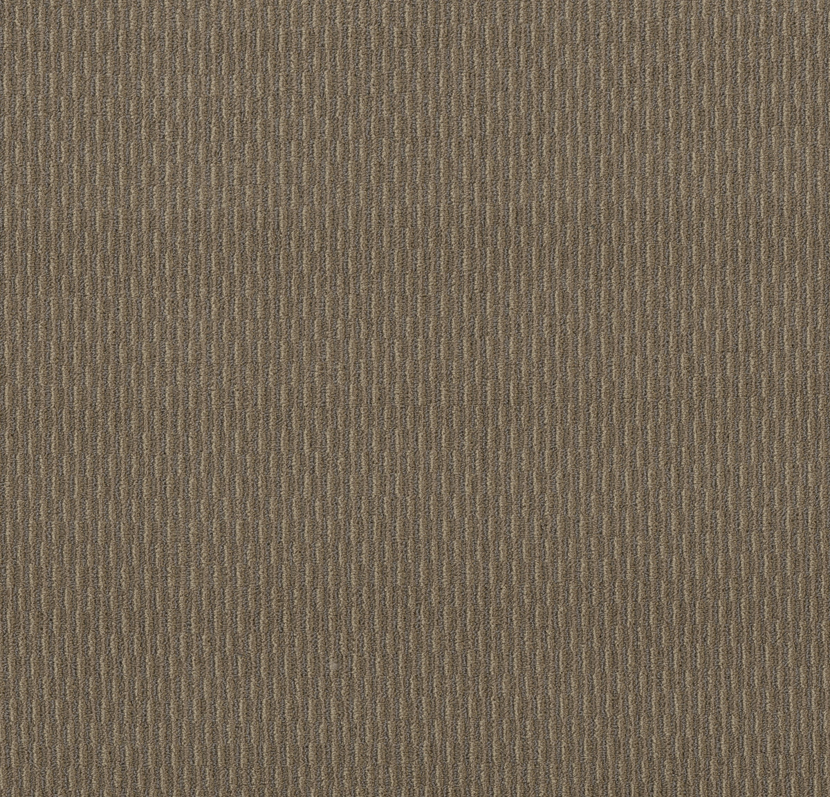 PATTERN PLAY - Bayou Beige