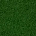 PARK CENTRAL - Infield