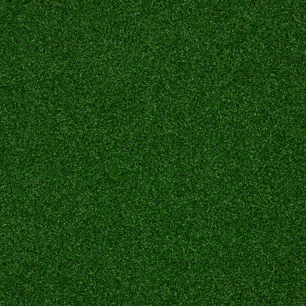 PARK CENTRAL - Infield