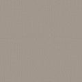 Studio Taupe